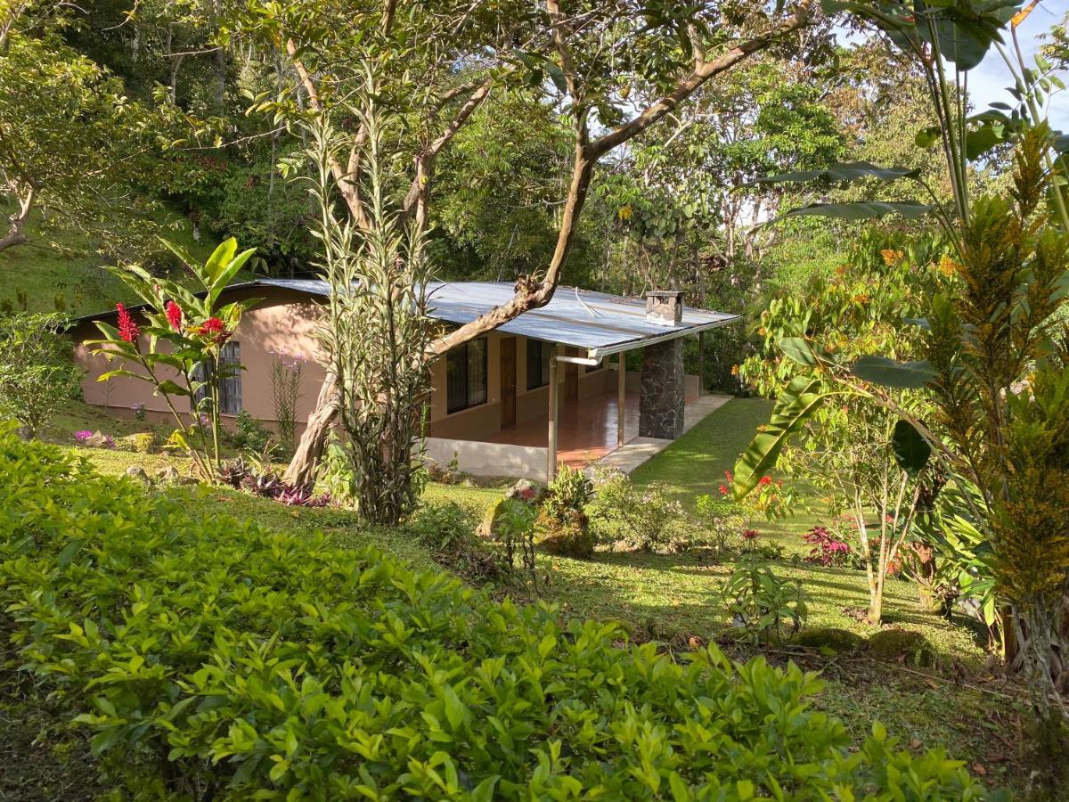 Hotel Uran Rivas Eksteriør bilde